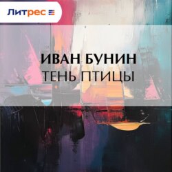 Тень птицы