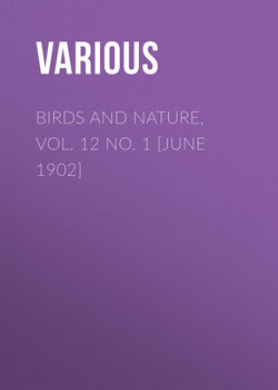 Birds and Nature, Vol. 12 No. 1 [June 1902]