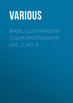 Birds, Illustrated by Color Photography, Vol. 2, No. 3