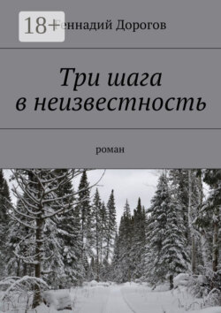 Три шага в неизвестность. Роман