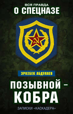 Позывной – Кобра. Записки «каскадера»