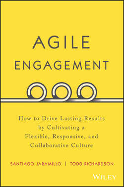 Agile Engagement