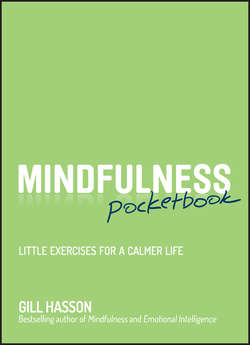 Mindfulness Pocketbook