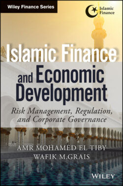 Islamic Finance and Economic Development. Risk, Regulation, and Corporate Governance