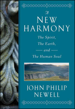 A New Harmony. The Spirit, the Earth, and the Human Soul