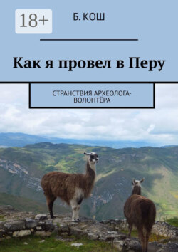 Как я провел в Перу. Странствия археолога-волонтёра