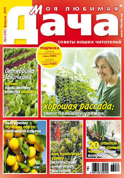 Моя любимая дача №2/2018