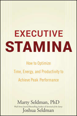 Executive Stamina. How to Optimize Time, Energy, and Productivity to Achieve Peak Performance