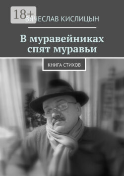 В муравейниках спят муравьи. Книга стихов