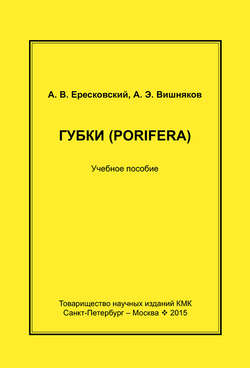 Губки (Porifera). Учебное пособие