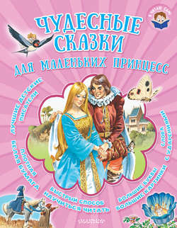 Чудесные сказки для маленьких принцесс