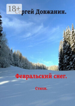 Февральский снег