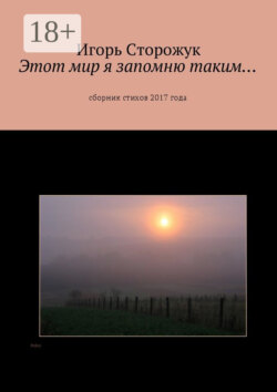Этот мир я запомню таким… Сборник стихов 2017 года