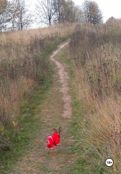 Проект «Анджела»