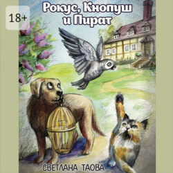 Рокус, Кнопуш и Пират