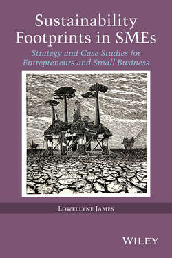 Sustainability Footprints in SMEs. Strategy and Case Studies for Entrepreneurs and Small Business