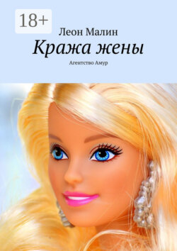 Кража жены. Агентство Амур