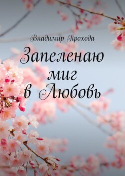 Запеленаю миг в Любовь