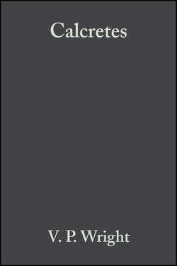 Calcretes (Reprint Series Volume 2 of the IAS)
