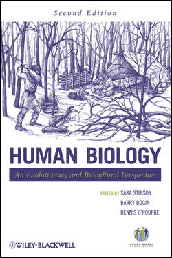 Human Biology. An Evolutionary and Biocultural Perspective