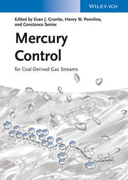 Mercury Control. for Coal-Derived Gas Streams