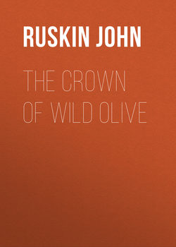 The Crown of Wild Olive