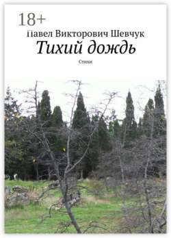Тихий дождь. Стихи