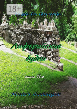 Master's shadowgate. Лиферийские будни