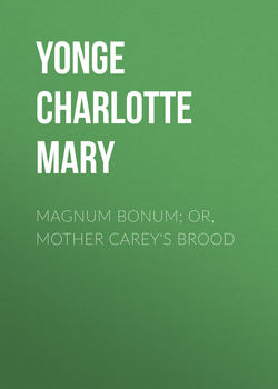 Magnum Bonum; Or, Mother Carey's Brood