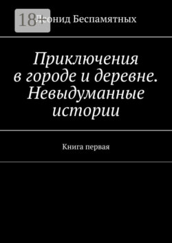 Приключения в городе и деревне. Невыдуманные истории. Книга первая