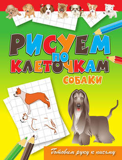 Собаки