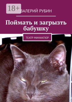 Поймать и загрызть бабушку. Театр миниатюр