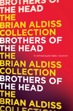 Brothers of the Head