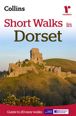 Short Walks in Dorset