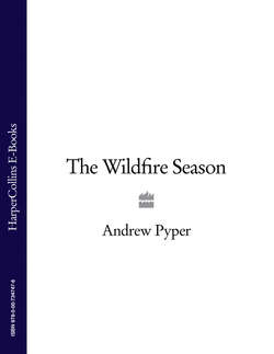The Wildfire Season