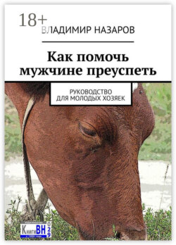 Как помочь мужчине преуспеть. Руководство для молодых хозяек