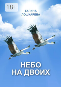 Небо на двоих