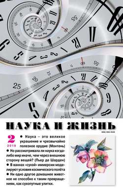 Наука и Жизнь 02-2019