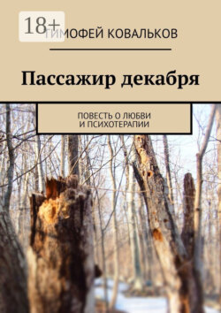 Пассажир декабря. Повесть о любви и психотерапии