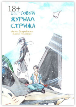 Бортовой журнал Стрижа