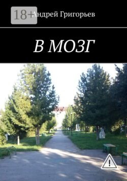 В мозг