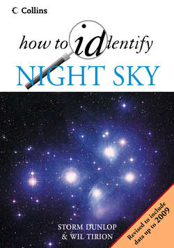 The Night Sky