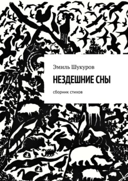 Нездешние сны. Сборник стихов
