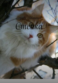 Степка