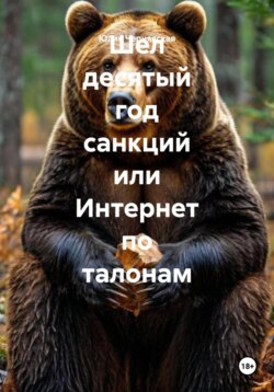 Шел десятый год санкций или Интернет по талонам