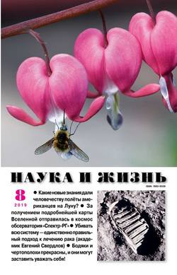 Наука и Жизнь 08-2019