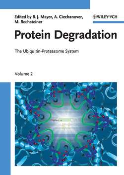 Protein Degradation