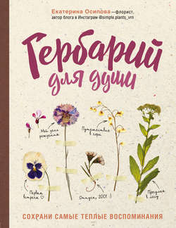 Гербарий для души. Cохрани самые теплые воспоминания