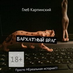 Бархатный враг. Просто НЕреальная история!!!