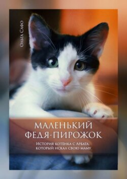 Маленький Федя-Пирожок. История котёнка с Арбата, который искал свою маму